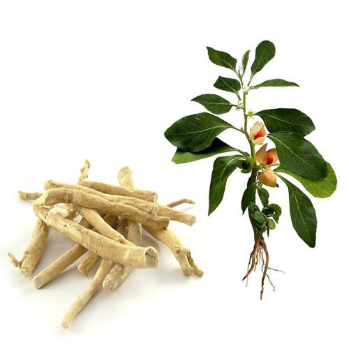 Seed photo